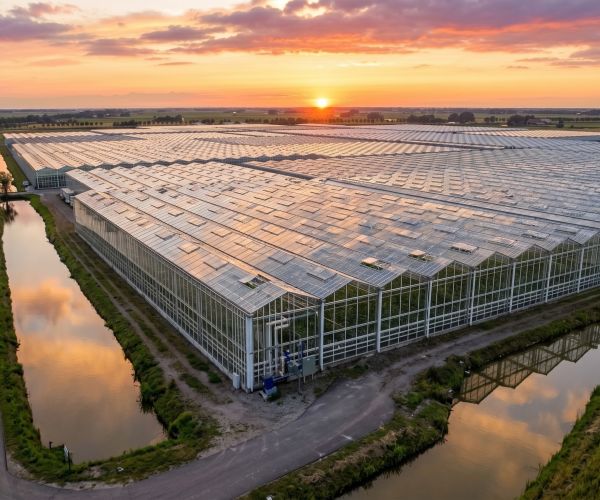 Website Laten maken Westland | Helemaal Goud geregeld | Westland Web